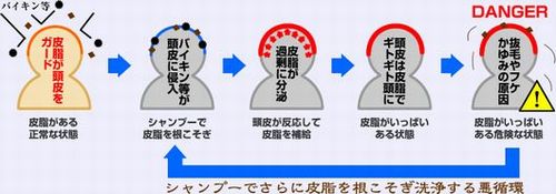 抜け毛シャンプー